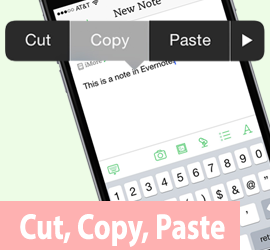 how to cut, copy and paste on iPhone